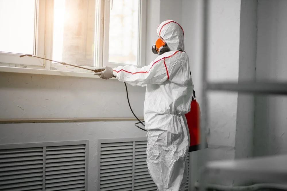 Professional mold remediation services in South Plainfield, NJ